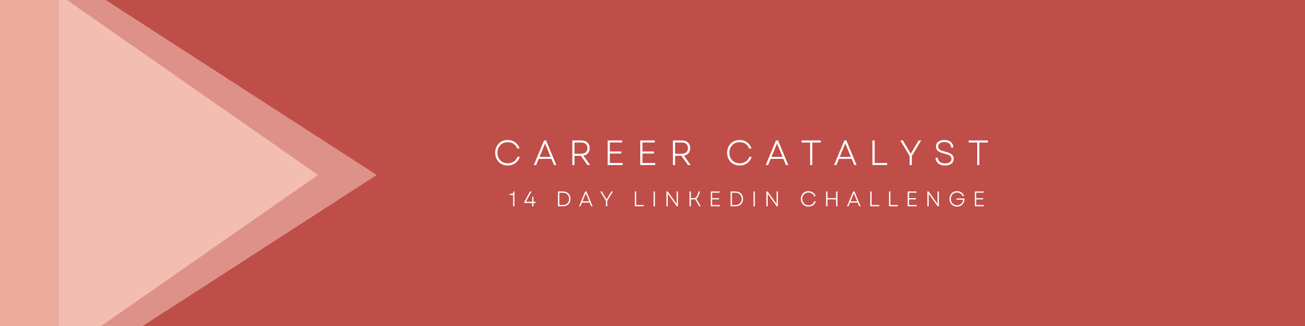 See Career Catalyst 14 Day Linkedin Challenge at Girl Develop It